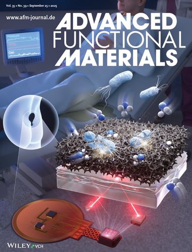 표지논문 게재[전기연 제공. 재판매 및 DB 금지]