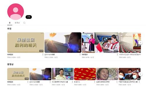 북한 찬양 불법정보 예시[최수진의원실 제공. 재판매 및 DB 금지]