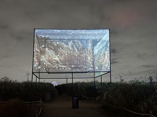 제24회 서울억새축제에 설치된 '미디어아트 파빌리온 2025'[서울시 제공. 재판매 및 DB 금지]