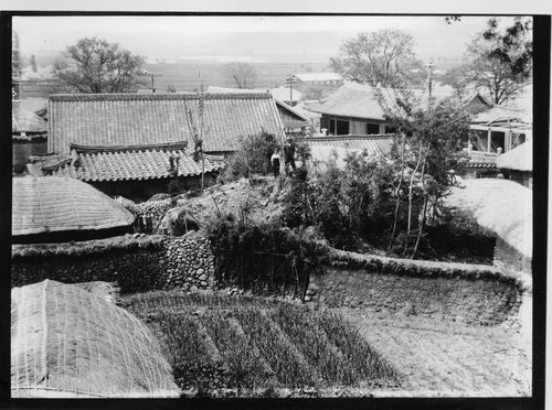 경주 금령총 발굴 전 모습[국립중앙박물관 제공. 재판매 및 DB 금지]