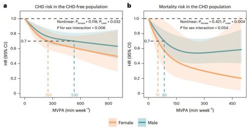 주당 신체활동 시간과 관상동맥심장질환 위험 및 사망률 관계 신체활동이 주당 150분 이상인 여성은 관상동맥질환(CHD) 위험이 그에 못 미친 그룹보다 22% 낮은 반면 남성은 17% 감소, 여성의 위험 감소 폭이 더 컸다. 또 CHD 환자 사망률의 경우 주당 150분 이상 운동 그룹 여성의 사망률 감소 폭이 남성보다 3배 큰 것으로 나타났다. [Nature Cardiovascular Research, Jiajin Chen et al. 제공. 재판매 및 DB 금지]