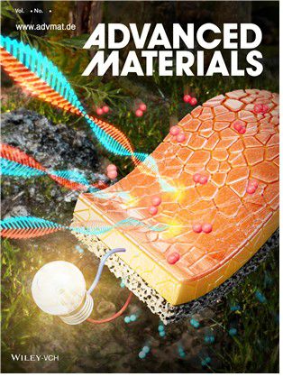 어드밴스드 머티리얼스 표지에 실린 연구성과 [KAIST 제공. 재판매 및 DB 금지]