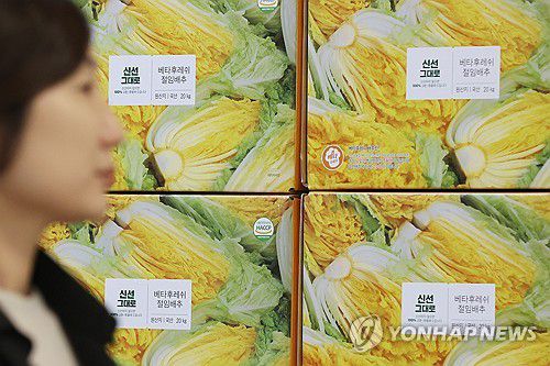 절임배추 예약판매 시작(서울=연합뉴스) 강민지 기자 = 다가오는 김장철을 맞아 대형마트 3사가 절임배추 예약판매에 나선 23일 서울의 한 이마트에  절임배추 상자가 놓여있다 . 2025.10.23 mjkang@yna.co.kr