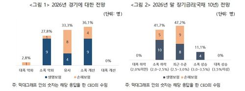 [보험연구원 제공]