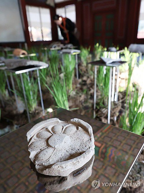 빛과 식물 그리고 기와(서울=연합뉴스) 강민지 기자 = 국가유산청 예담고 프로젝트전 '땅의 조각, 피어나다' 개막한 4일 서울 중구 덕수궁에서 관람객이 작품을 둘러보고 있다. 전시는 예담고(국가 귀속유산으로 선정되지 않은 유물을 보관·관리·활용 시설)에서 보관 중인 유물을 활용한 작품을 선보인다.   2025.11.4 mjkang@yna.co.kr