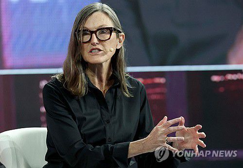 캐시 우드 아크인베스트먼트 최고경영자(CEO)[AFP 연합뉴스 자료사진. 재판매 및 DB 금지]
