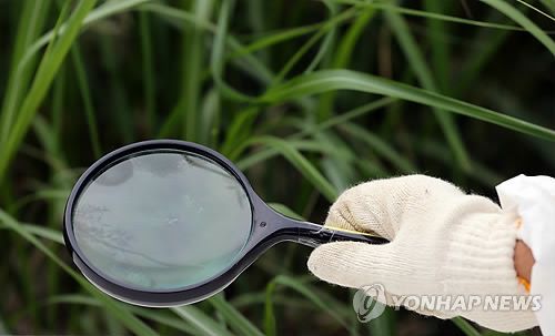 '야생진드기를 찾아라!'[연합뉴스 자료사진]