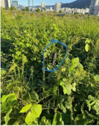 마약류를 숨긴 공터 풀밭[부산경찰청 제공. 재판매 및 DB 금지]