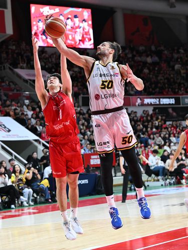 LG 마레이[KBL 제공. 재판매 및 DB 금지]