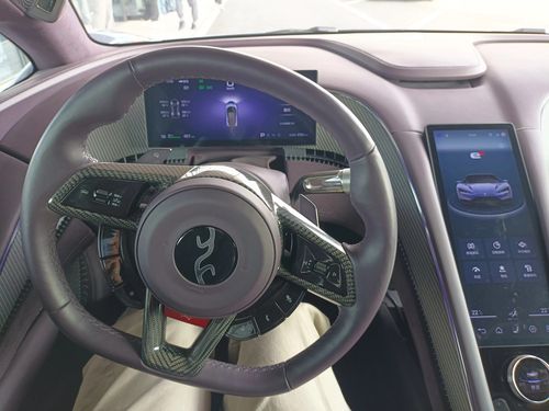 양왕 U9 실내. 로고는 전기 전(電)의 갑골문으로, 4개의 갈래로 사륜구동을 표현함[촬영 임성호]