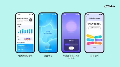 틱톡 시간관리 및 웰빙 섹션[틱톡 제공. 재판매 및 DB 금지]