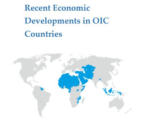 이슬람협력기구(OIC) 산하 SESRIC 보고서의 OIC회원국 지도 [SESRIC 보고서 캡처. 재판매 및 DB 금지]