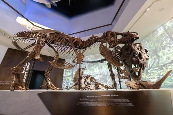 His Highness Sheikh Khaled bin Mohamed bin Zayed Al Nahyan inaugurates Natural History Museum Abu Dhabi in Saadiyat Cultural District