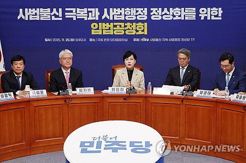 민주당 '사법정상화 TF' 공청회(서울=연합뉴스) 김주성 기자 = 25일 서울 여의도 국회에서 열린 더불어민주당 '사법불신 극복·사법행정 정상화' 태스크포스(TF) 공청회에서 전현희 TF 단장이 발언하고 있다. 2025.11.25 utzza@yna.co.kr