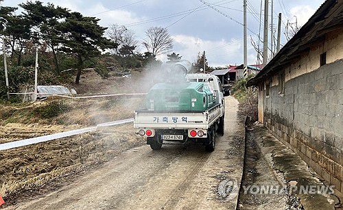 충남 첫 ASF 발생 당진 돼지농장 긴급 방역(당진=연합뉴스) 충남 당진시 송산면 돼지농장에서 도내 처음으로 아프리카돼지열병(ASF)이 발생한 가운데 방역 당국이 25일 농장 주변을 긴급 방역하고 있다. 2025.11.25 [충남도 제공. 재판매 및 DB 금지] cobra@yna.co.kr