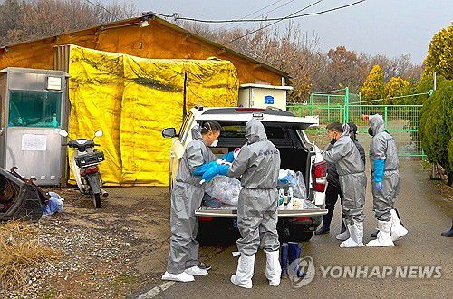 충남 첫 ASF 발생 당진 돼지농장 긴급 방역(당진=연합뉴스) 충남 당진시 송산면 돼지농장에서 도내 처음으로 아프리카돼지열병(ASF)이 발생한 가운데 방역 당국 관계자들이 25일 농장 주변 방역을 준비하고 있다. 2025.11.25 [당진시 제공. 재판매 및 DB 금지] cobra@yna.co.kr