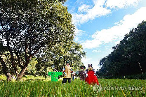 허수아비와 가을하늘(서울=연합뉴스) 진연수 기자 = 완연한 가을 날씨를 보인 16일 서울 강남구 양재천 벼농사 학습장에 허수아비가 세워져 있다. 2025.10.16 jin90@yna.co.kr
