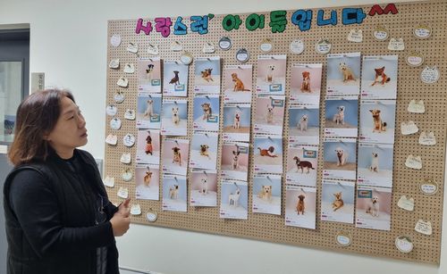 입소한 유기동물 설명하는 김혜경 주무관 [촬영 박주영]