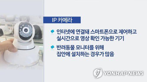 IP카메라(CG)[연합뉴스TV 제공]