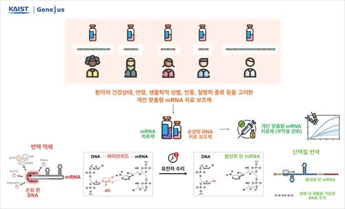 연구 모식도[KAIST 제공. 재판매 및 DB 금지]