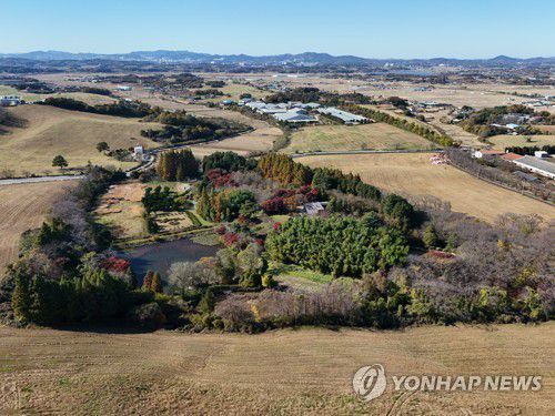 서산 한우목장 안에 신기루처럼 떠 있는 숲 [사진/백승렬 기자]