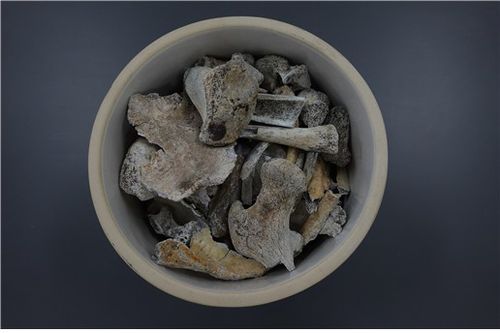 고(故) 정용환 일병의 유해[국방부유해발굴감식단 제공. 재판매 및 DB 금지]