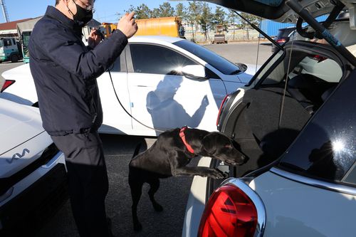 마약 탐지 활동 탐지견[동해해경 제공. 재판매 및 DB 금지]