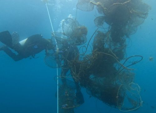수중정화 활동하는 소방대원들[전국공무원노동조합 소방본부 강원소방지부 제공. 재판매 및 DB 금지]