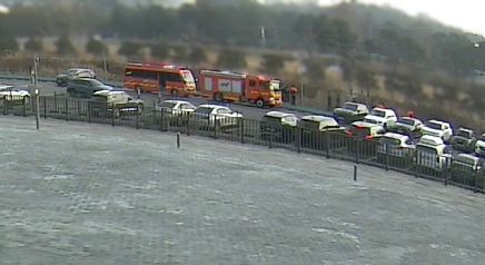 사슴 포획 위해 출동한 소방당국[독자 제공. 재판매 및 DB 금지]