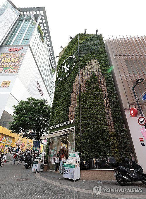 서울 중구 충무로1가 네이처리퍼블릭[연합뉴스 자료사진]