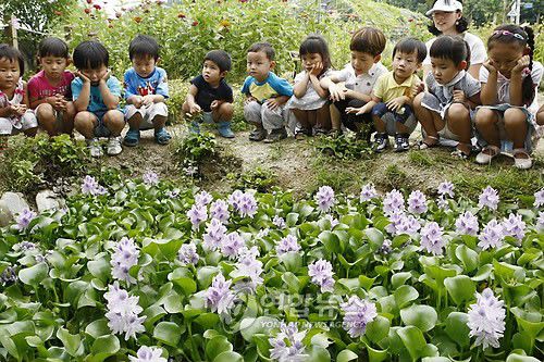옥잠화를 보는 어린이들[연합뉴스 자료 사진]