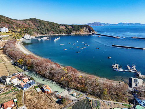 물건리 방조어부림 [사진/임헌정 기자]