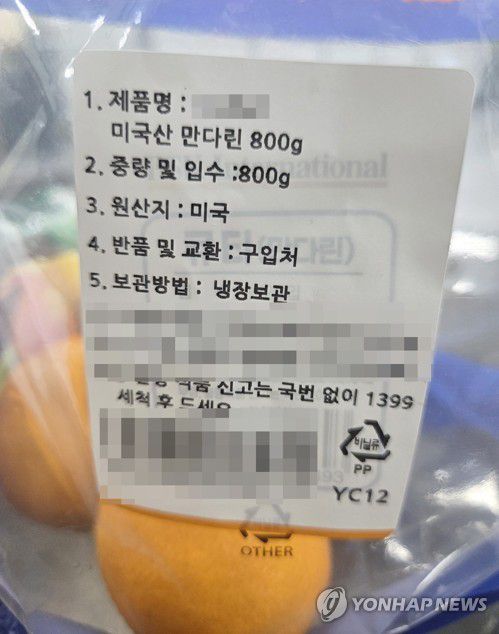미국산 수입 만다린[연합뉴스 자료사진]