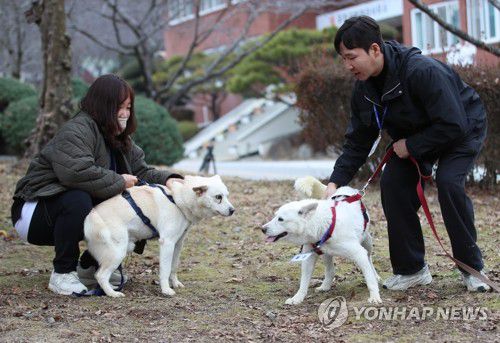 광주 우치동물원에서 생활하는 곰이·송강[연합뉴스 자료사진]