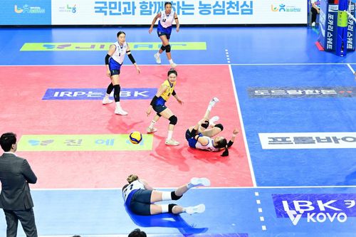 프로배구 현대건설 선수들[한국배구연맹 제공. 재배포 및 DB 금지]