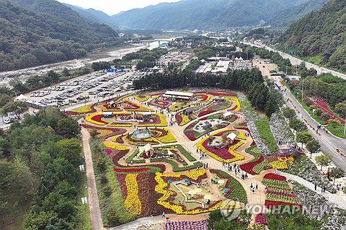 가을꽃 천국[인제군 제공. 재판매 및 DB 금지]