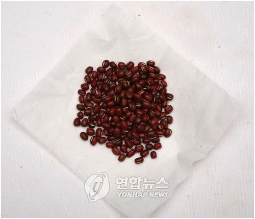 국산 팥[연합뉴스 자료사진]