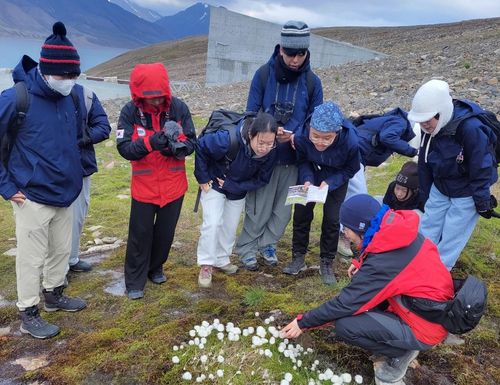 북극 식물 채집 활동[인천시교육청 제공. 재판매 및 DB 금지]