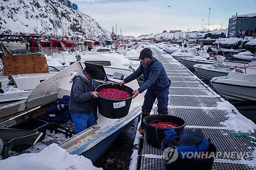 14일 그린란드 누크에서 어부들이 조업 장비를 배에 싣고 있다. [AP=연합뉴스]