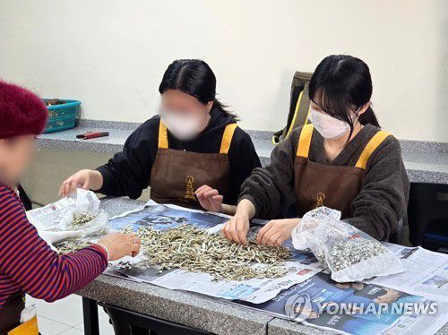 멸치 손질(서울=연합뉴스) 이진주 인턴기자 = 지난 13일 서울 종로구 원각사 무료급식소에서 다음날 점심용 재료를 손질하고 있다. 2026.01.15