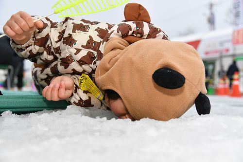 산천어축제 어린이 강태공[화천군 제공.재판매 및 DB 금지]