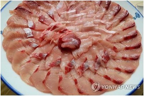 방어회[연합뉴스 자료 사진]