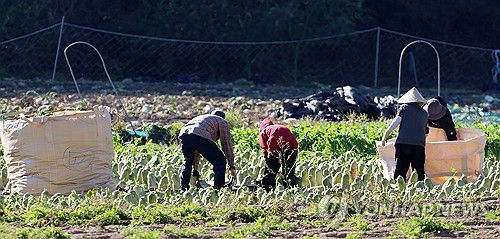 농업[연합뉴스 자료사진]
