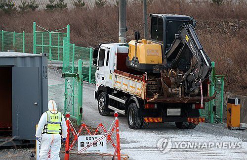 강릉 양돈농가서 아프리카돼지열병 발생…방역 초비상(강릉=연합뉴스) 양지웅 기자 = 17일 아프리카돼지열병(ASF) 발생이 확인된 강원 강릉시 한 양돈농가에서 살처분 작업 굴착기가 이동하고 있다. 2026.1.17 yangdoo@yna.co.kr