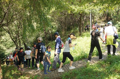 오랍드리산소길 걷기대회[삼척시 제공. 재판매 및 DB 금지]