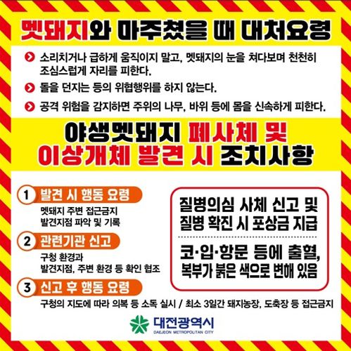 멧돼지 발견 시 행동요령[대전시 제공. 재판매 및 DB 금지]