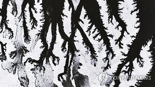 강추위에 꽁꽁 언 갯벌(화성=연합뉴스) 홍기원 기자 = 매서운 추위가 다시 찾아온 8일 경기도 화성시 우정읍 갯벌이 얼어있다. 2026.1.8 xanadu@yna.co.kr