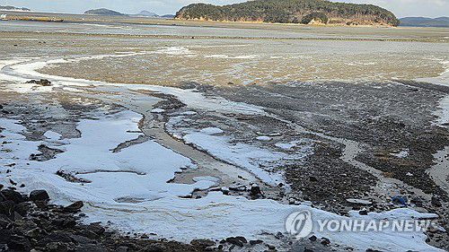동장군 맹위에 바다도 '꽁꽁'(서산=연합뉴스) 정윤덕 기자 = 대한(大寒) 다음 날인 21일 충남 서산시 지곡면 중왕리 앞바다가 얼어 있다. 지난 19일부터 한파주의보가 발효 중인 서산의 이날 아침 최저기온은 영하 7.7도였다. 2026.1.21 cobra@yna.co.kr
