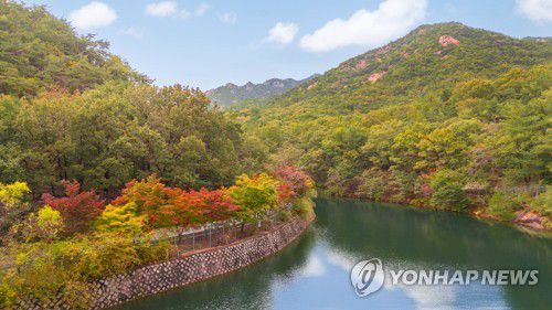 서울대 안양수목원 풍경[안양시 제공. 재판매 및 DB금지]