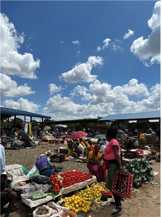 하라레에서 북쪽으로 약 27㎞ 떨어진 돔보샤와(Domboshawa) 시장[이은별 제공. 재판매 및 DB 금지]